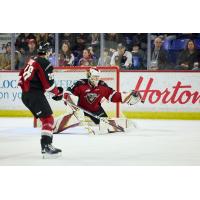 Vancouver Giants goaltender Brett Mirwald