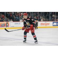 Grand Rapids Griffins center Riley Sawchuk