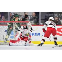 Grand Rapids Griffins' Sebastian Cossa and Carter Mazur in action