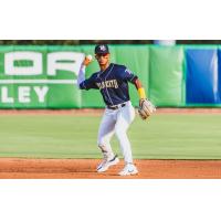 Charleston RiverDogs on game night