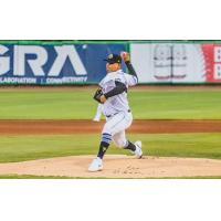 Charleston RiverDogs deliver a pitch