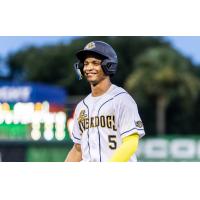 Charleston RiverDogs' Enzo Paulino