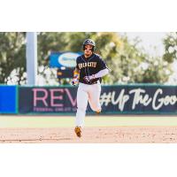 Charleston RiverDogs in action