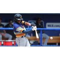 Montgomery Biscuits at bat