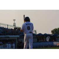 Fond du Lac Dock Spiders' Tyler Neises at bat