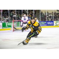 Maine Mariners forward Bennett Stockdale