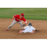 Tri-City Dust Devils' Caleb Ketchup in action