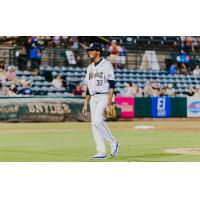 Charleston RiverDogs' Luis Hernandezon game night