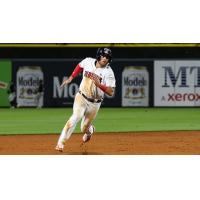 Toledo Mud Hens race around the bases