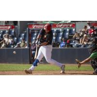 Vancouver Canadians first baseman Peyton Williams