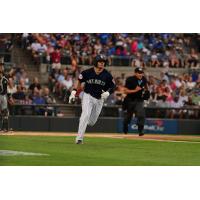 Somerset Patriots' Jesus Rodriguez in action