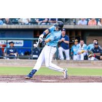 Charleston RiverDogs at bat