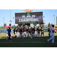 Dayton Dragons celebrate their playoff berth