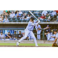 Charleston RiverDogs at bat