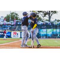 Charleston RiverDogs on game night