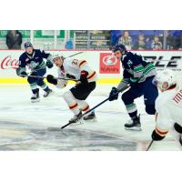 Vancouver Giants centre Brett Olson vs. the Seattle Thunderbirds