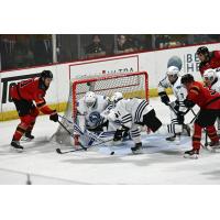 Wenatchee Wild goaltender Daniel Hauser zeroes in on the puck