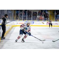 Springfield Thunderbirds forward Nikita Alexandrov