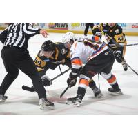 Lehigh Valley Phantoms face off with the Wilkes-Barre/Scranton Penguins