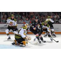 Peterborough Petes right wing Nico Addy shoots vs. the North Bay Battalion