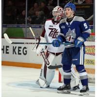 Peterborough Petes goaltender Liam Sztuska vs. the Sudbury Wolves