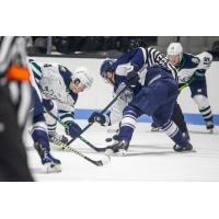 Worcester Railers face off with the Maine Mariners