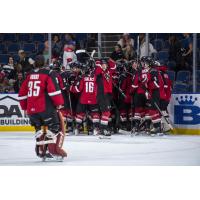 Vancouver Giants celebrate win