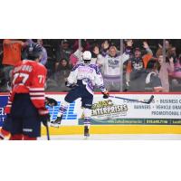 Flint Firebirds' Nathan Aspinall on game night