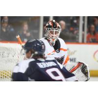 Lehigh Valley Phantoms goaltender surveys the action