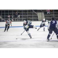 Defenseman Zachary Massicotte with the Maine Mariners