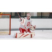 Goaltender Gage Alexander with the Detroit Red Wings