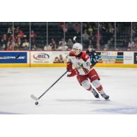 Grand Rapids Griffins' Amadeus Lombardi on the ice