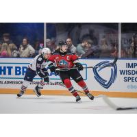 Tri-City Americans' Shaun Rios versus Kelowna Rockets' Max Graham