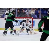 Vancouver Giants goaltender Matthew Hutchison