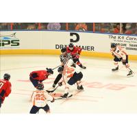 South Carolina Stingrays battle the Greenville Swamp Rabbits