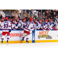 Kitchener Rangers' Jack LaBrash and Matthew Hlacar congratulated by team