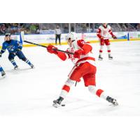 Grand Rapids Griffins' Brogan Rafferty in action