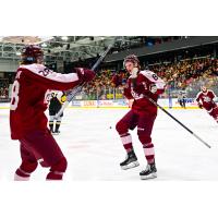 Peterborough Petes celebrate Liam Ladds' first goal