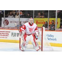 Grand Rapids Griffins goaltender Carter Gylander