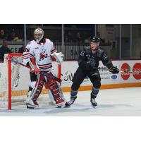 Peterborough Petes centre Brody Partridge (right) vs. the Niagara IceDogs