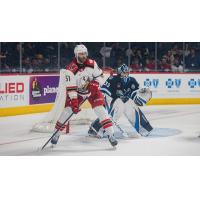 Grand Rapids Griffins right wing Austin Watson