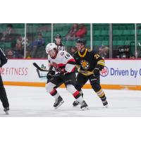 Belleville Senators right wing Jake Chiasson (left) vs. the Providence Bruins