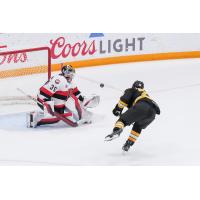 Belleville Senators goaltender Leevi Merilainen vs. the Providence Bruins