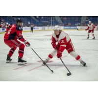 Grand Rapids Griffins left wing Cross Hanas (right) vs. the Hartford Wolf Pack