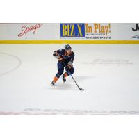 Flint Firebirds left wing Matthew Wang