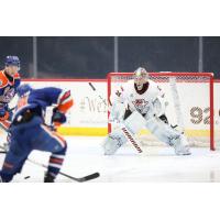 Tucson Roadrunners goaltender Matthew Villalta