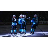 Jacksonville Icemen celebrate a goal