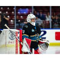 Tahoe Knight Monsters goaltender Justin Robbins