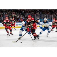 Colorado Eagles' Jean-Luc Foudy versus Grand Rapids Griffins' Austin Watson