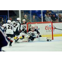 Vancouver Giants goaltender Matthew Hutchison against the Tri-City Americans